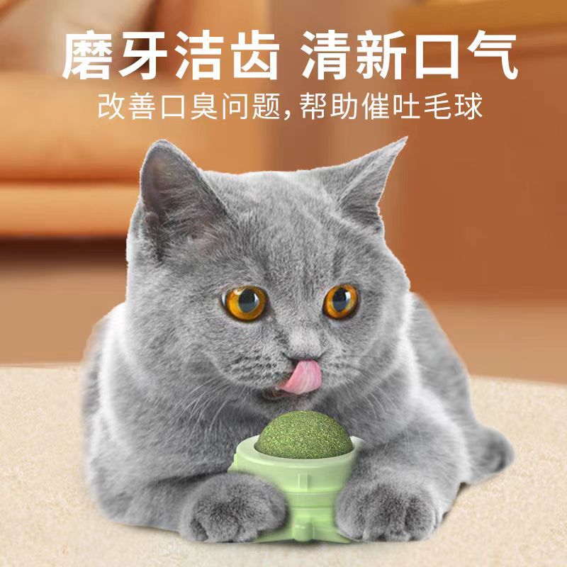 9b9a132a38206141e0f96c3eae74e8