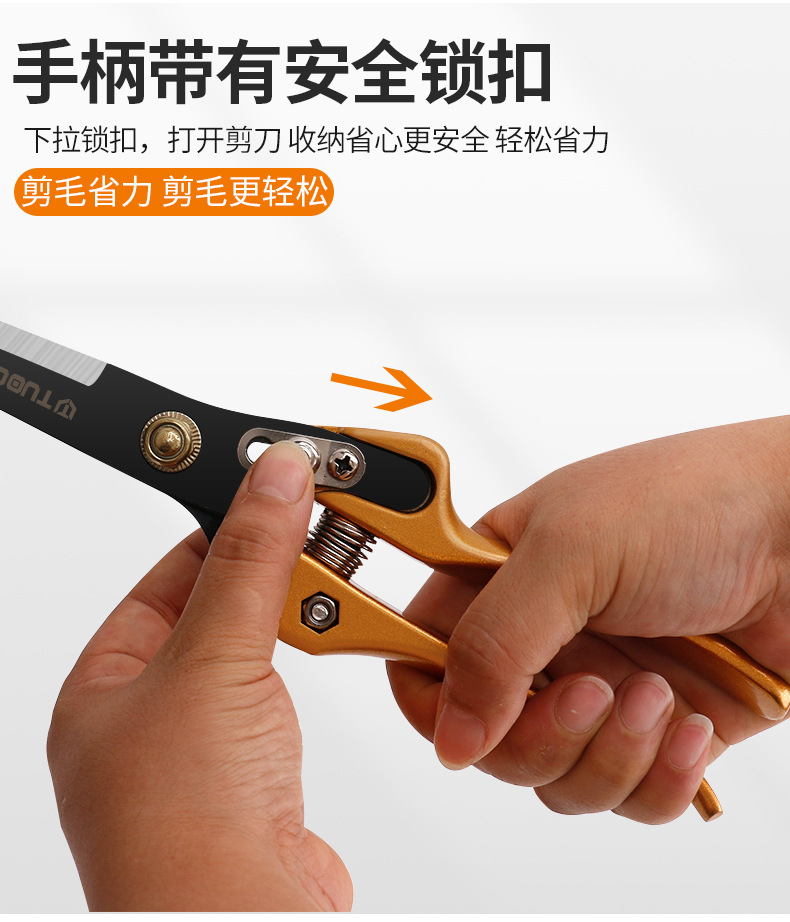 790详情_06.jpg