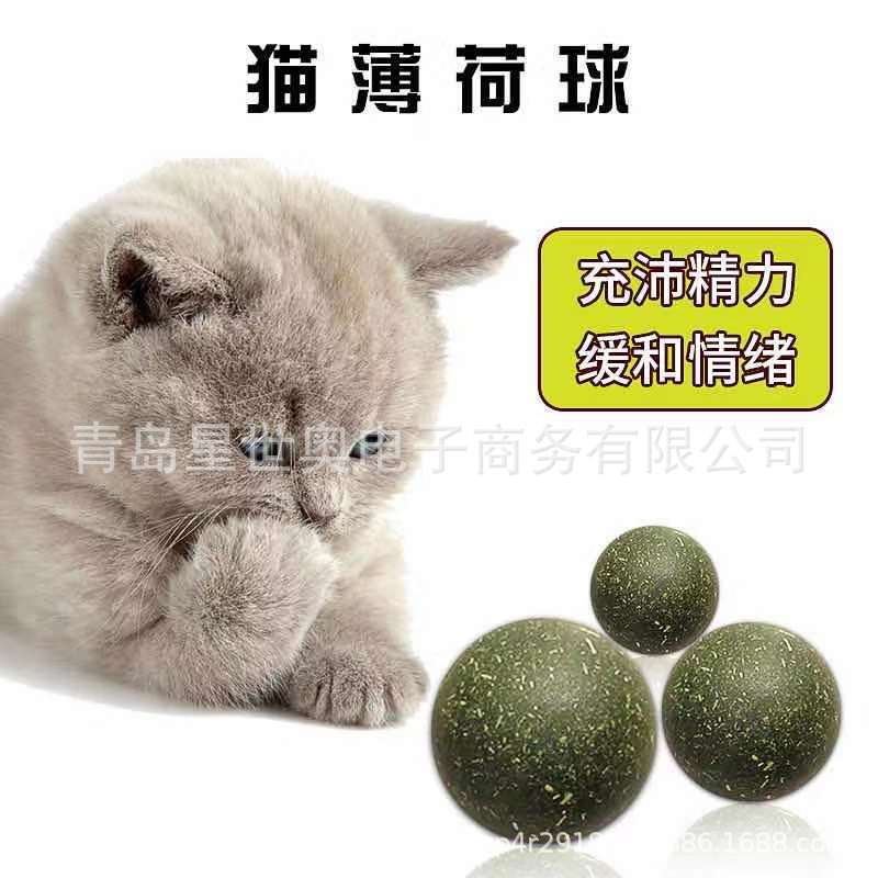 微信图片_20210416222300