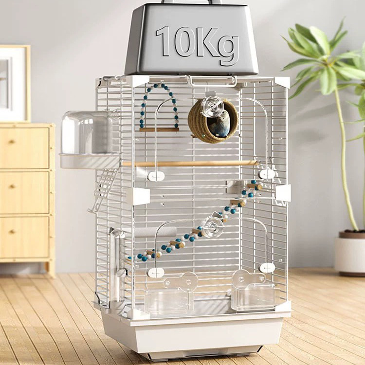 4737f71f-b1bf-4c32-8c6a-1ce3d0515a6b.jpe