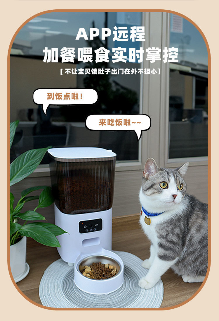 fceb4d0f-b084-4811-aff2-b488357596d2.jpe