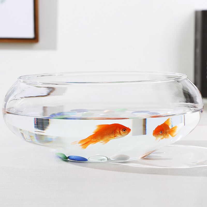 TB22I3FaMMPMeJjy1XdXXasrXXa_!!2966097394