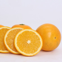 �֮���ȹ��������rˮ����ꖱ��ǳ�Ƥ��ζ����ǳȳ���ȳ�������