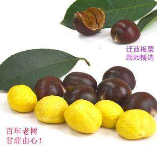 ��؛����1000g�ǳ������ӵ�����ɽ�w�����r�������������ʬF��
