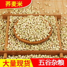 ���ɹ����w�����w��������s�Z���w��ꄱ��t���ּZ�w���������l