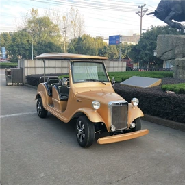 高尔夫球车;其他电动车;电动观光车