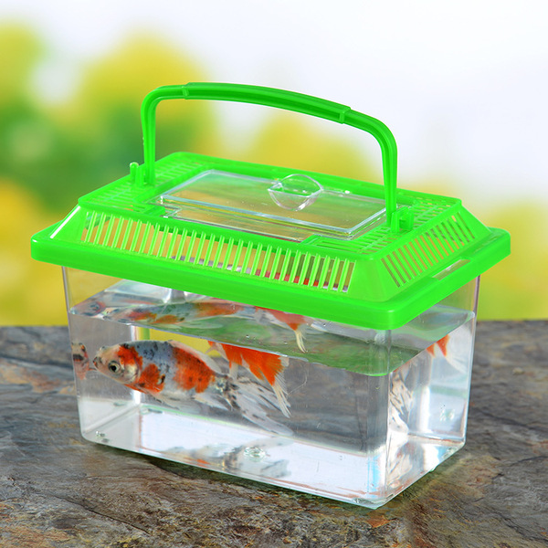 transparent plastic small aquarium