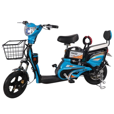 Electric Motorcycles, Elektrikli motosikletlər