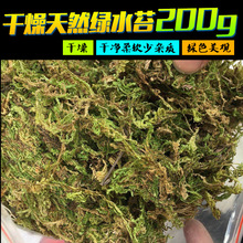 ���x�|����Ȼ�����rˮ̦̦�\�����^���ߌ����߽����،mϐ��200��