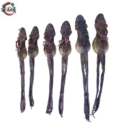 Bulk wholesale of Jilin Changbai Mountain specialty dry goods, dried snow clams, direct supply of dried forest frog ingredients soaked in water and frog oil from the origin