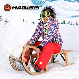 滑雪板;球类;曲棍球棒