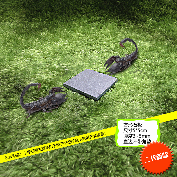 블루스톤보드 2세대 직사각형(5*5cm)