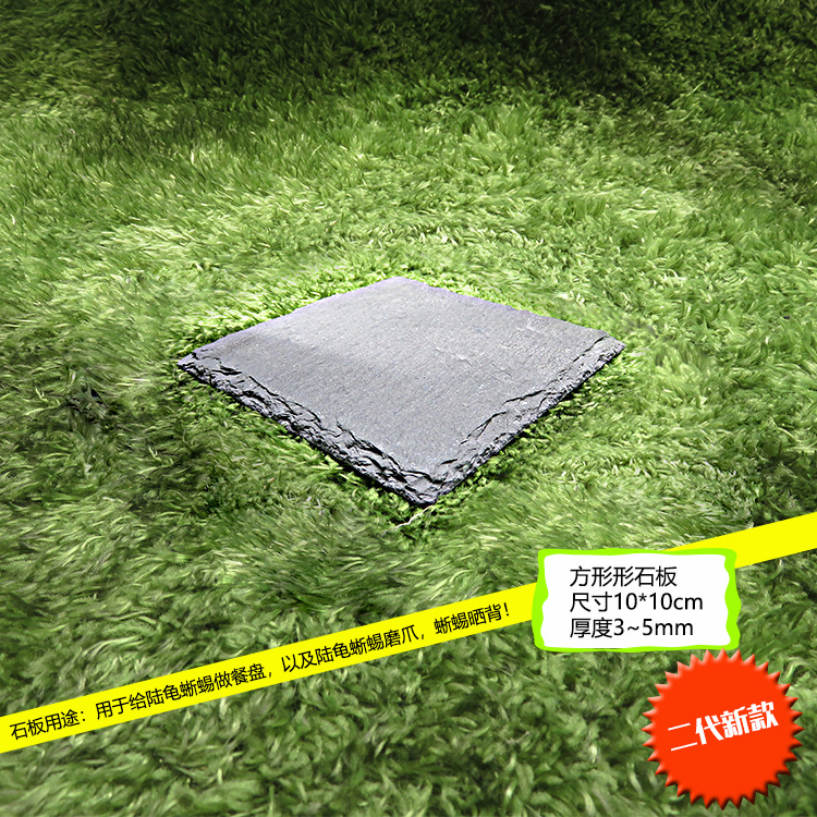 블루스톤보드 2세대 직사각형(10*10cm)