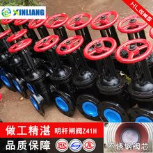 �S��؛Դ�l�y�T䓷��m�����ք���ˮZ41H-10100125���