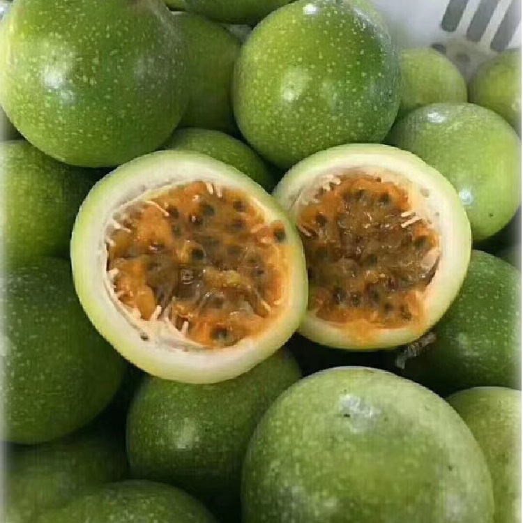 云之萌萌果云南热带新鲜水果黄色百香果高山西番莲