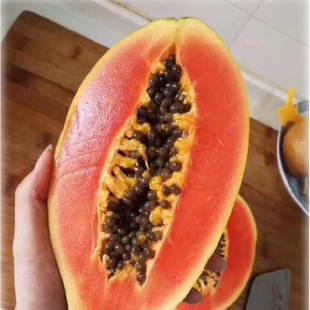 �Ꭷ�Lζˮ���Fժ�F�l�����쮔�����r������ţ�̼t�ľGƤľ�ϴ��