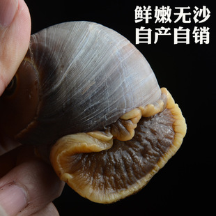 ������ ������ �Ƶ꺣�rʳ�� �������r ������ ؐ��r��偺��r