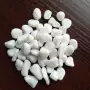 多肉小白庭院花盆白沙子