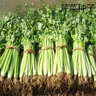 �r��С�~��˷N�����ļ������߲˷N���ݲ��Ѳ˷N��Ʒ�NС����ѷN