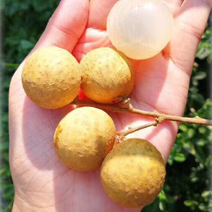 ��ϟᎧˮ�����r���A���ζ���С���A���w��ͬ�����rˮ�����A