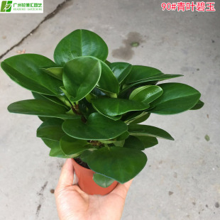 �������lA90#���~���� ����G�҃������^�p�^�~С�Gֲ����