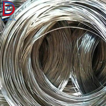 ϡ�����ٰ� ���ι�z��ϡ���Ͻ�z 䓲ĸ���ϡ�����ٽz �c��