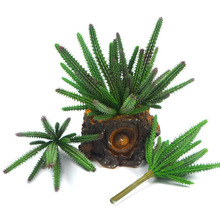 ����ֲ�� �Ͽ�20�^�������Ʒ���Ꭷ����ֲ�� �������ֲ������