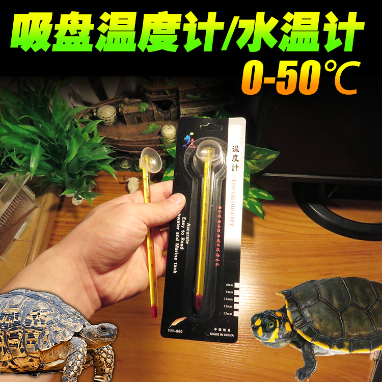 LCD 온도계