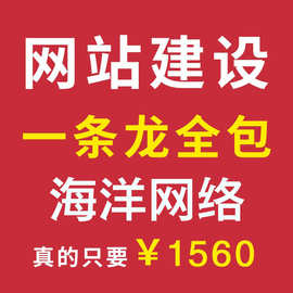 公司企业网站建设计手机网页开发制作商城做网站建网站建站一条龙