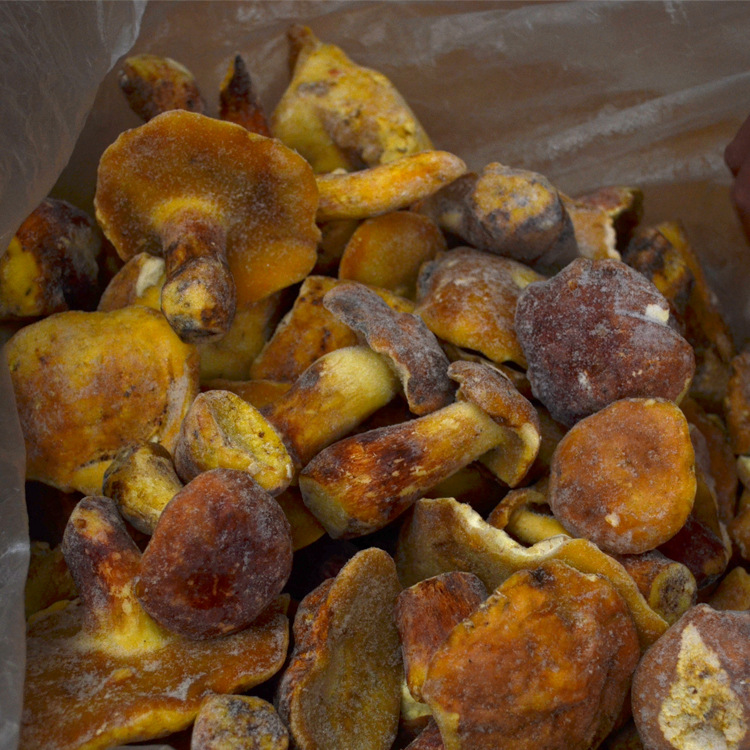 2025年云南速冻食用白葱菌 白葱牛肝菌  挑选速冻白牛肝菌1000克