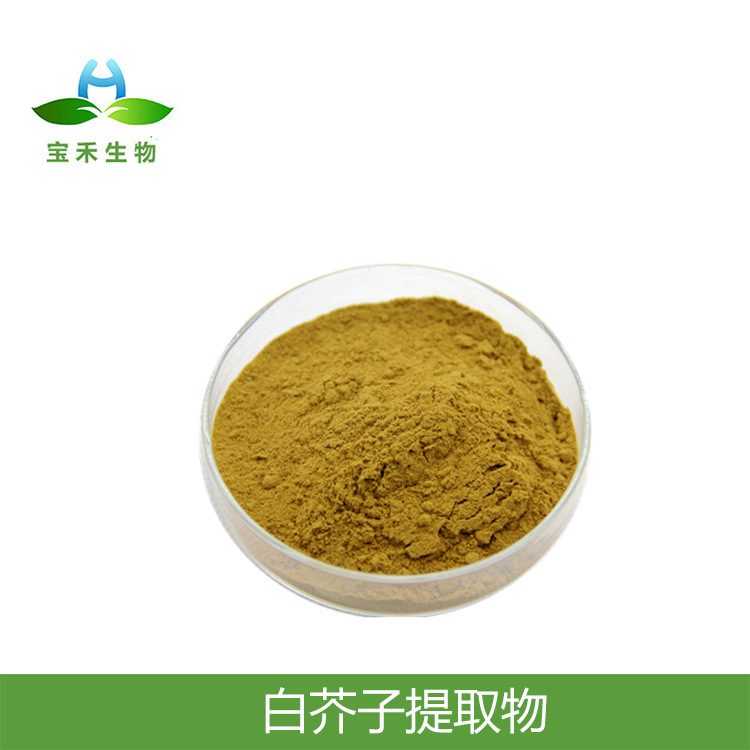 白芥子提取物10:1 白芥子粉 白芥子浸膏粉 白芥子浓缩粉 白芥子甙