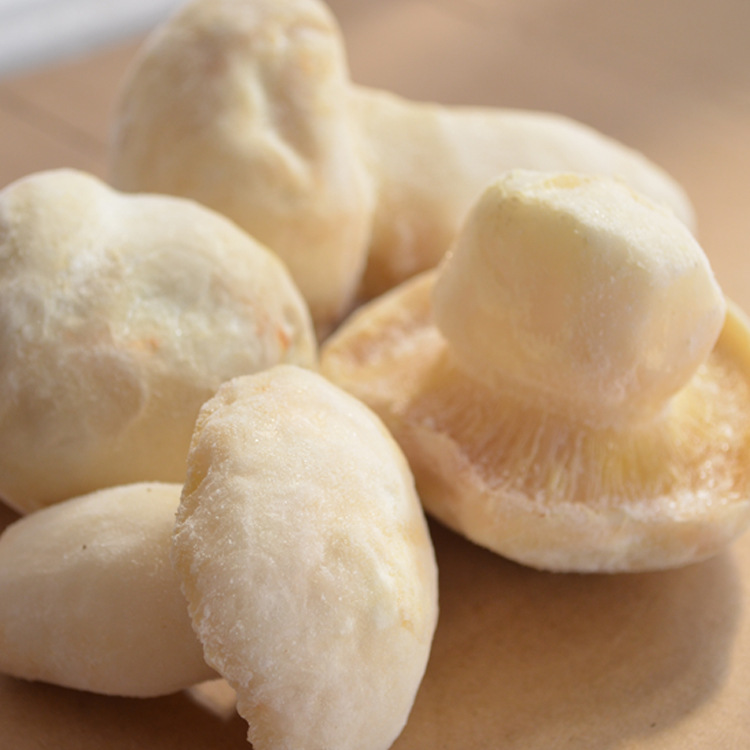 云南野生速冻老人头菌冻货菌食用菌仙人头菌大货批发鲜冻野生菌