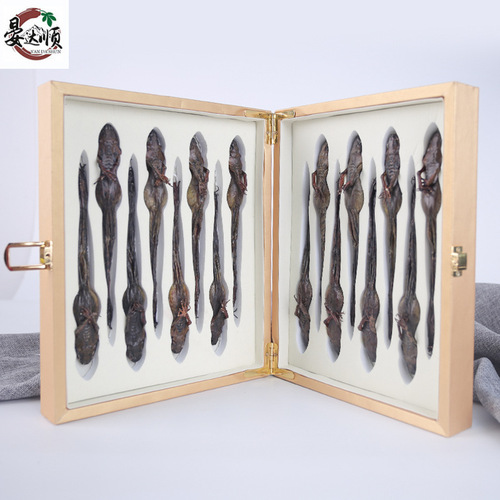 Bulk wholesale of Jilin Changbai Mountain specialty dry goods, dried snow clams, direct supply of dried forest frog ingredients soaked in water and frog oil from the origin