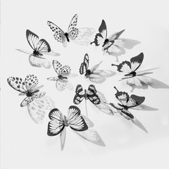 3D simulation butterfly wall sticker with double-sided adhesive for bedroom and living room, plastic butterfly