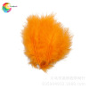 Winning feather manufacturers wholesale scattered roots of turbulent natural all -color color 50 sets of spot pet decoration