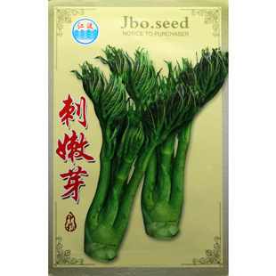 ����ѿ�N�Ӵ���ѿ�N���߲˷N�����l�˷N���Ѳ˷N�ӹ�˾