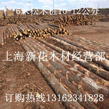 ��Ѵ�g���� 6�װ����� 4����ľ�� ��ľ�r��  ��Ѵ�� ��ľԭľ��