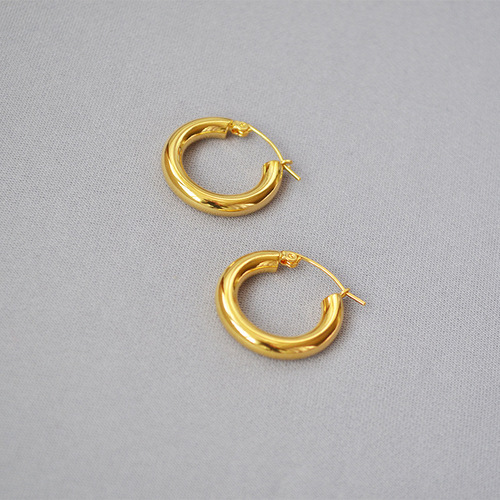 European and American Cold Metal Style Minimalist Personality Fashion Exquisite Brass Plated Gold Small Thick Hoop Earrings Earrings Accessories