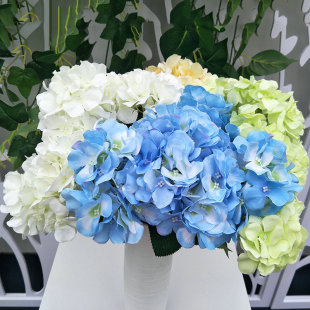 �S�����l6�^�ѽ���ĥë�� ���潑�� �Ҿӻ�c�b���