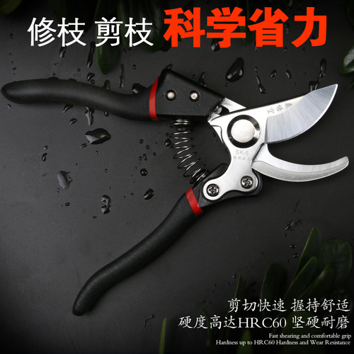 Pruning shears Gardening scissors Garden pruning fruit tree pruning scissors Floral pruning scissors Flower shears manufacturer