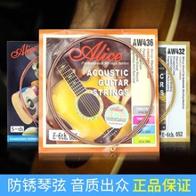 ����˿A206��ҥ������ľ��������alice������1��2��3/4/5/6������