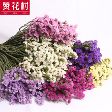 ٝ塿LҸɻҾӔ[Obɻ滨l