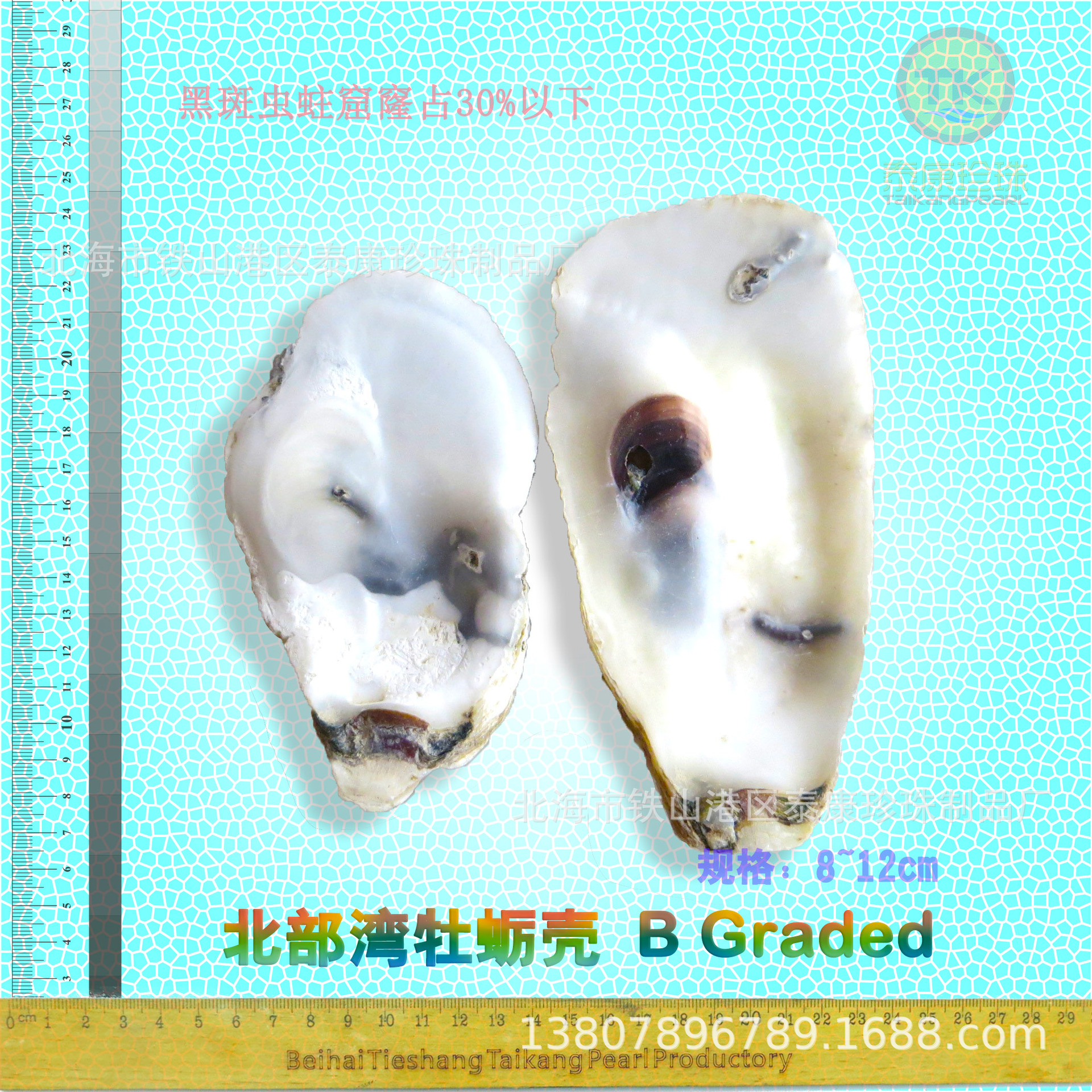 ĵϿ ĵÿǴӿ ѡ Oyster shell