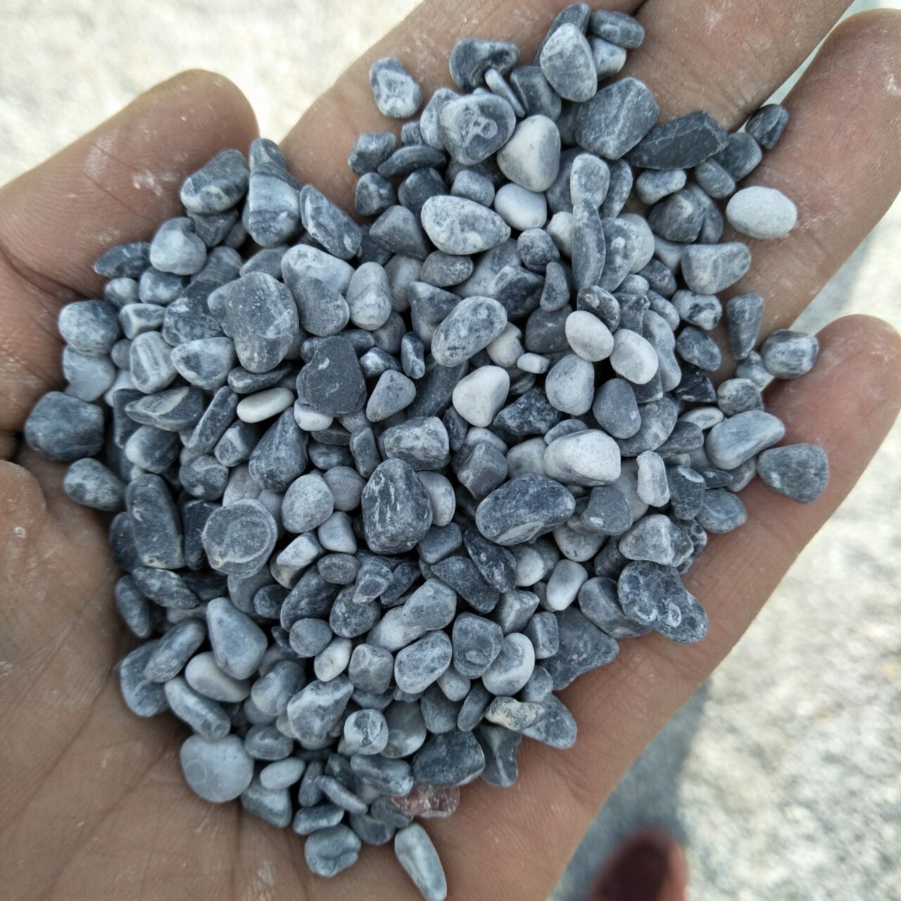 灰色鹅卵石 水洗石 园林地坪铺面小石子工程铺路灰色黑色石子卵石