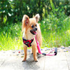 Amazon pet traction rope chest straps sandwich polyester cotton polyester cotton plus polyester dog walking dog and chest back spot