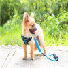 Amazon pet traction rope chest straps sandwich polyester cotton polyester cotton plus polyester dog walking dog and chest back spot