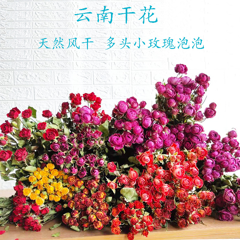 云南干花玫瑰 多头玫瑰泡泡干花花束 玫瑰干花花束玫瑰花玫瑰花束