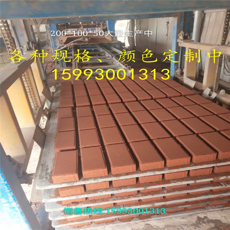 河南郑州厂家直销200*100*50/60红色通体透水砖