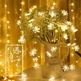 厂家直销LED彩灯雪花星星灯串圣诞树装饰闪灯卧室节日婚庆布置