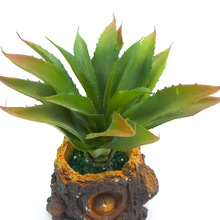 �������J�C 21�~������J�C����Gֲ ����ֲ���辰�������ֲ��